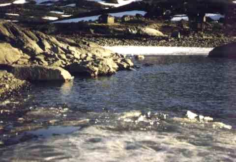 Samendorf am Sitasjaure